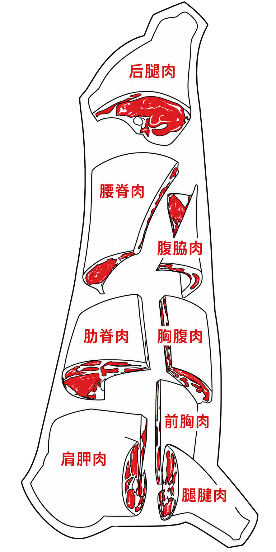 1100磅或以下的熟屠体重量