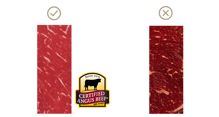 健康强壮的肉牛