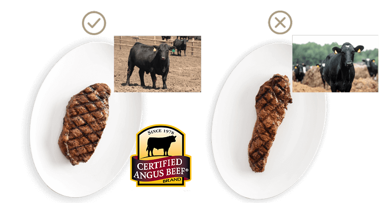 肌肉量充足的肉牛